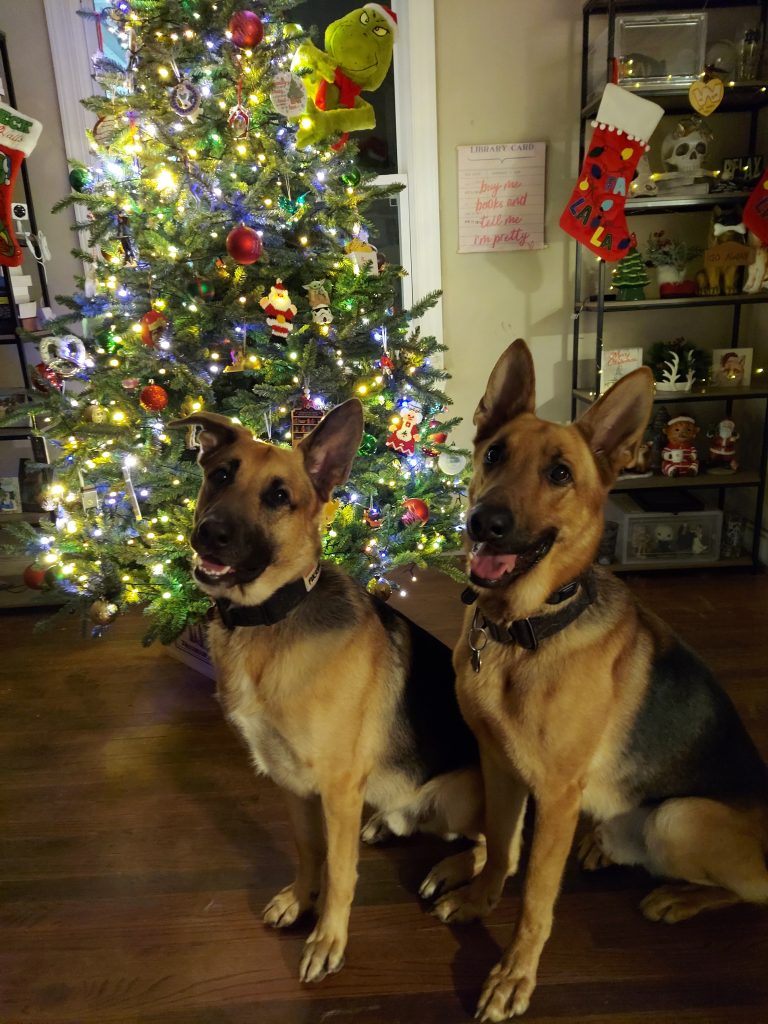 Dog mom shopping for 2 german