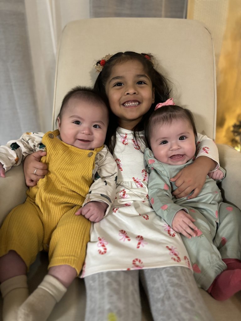 Twins, a Toddler, and Me