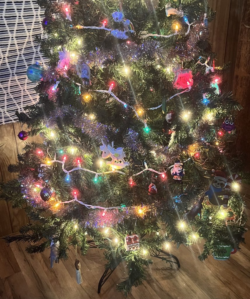 Low income family with 4 kids