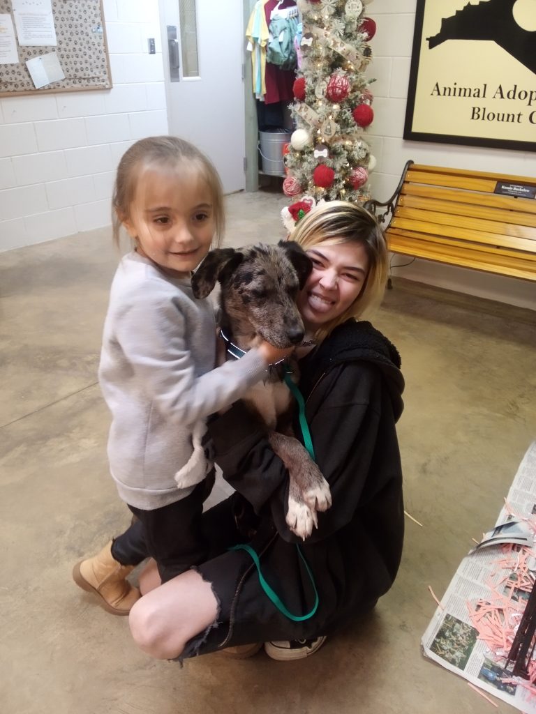 Single mom of 2 girls